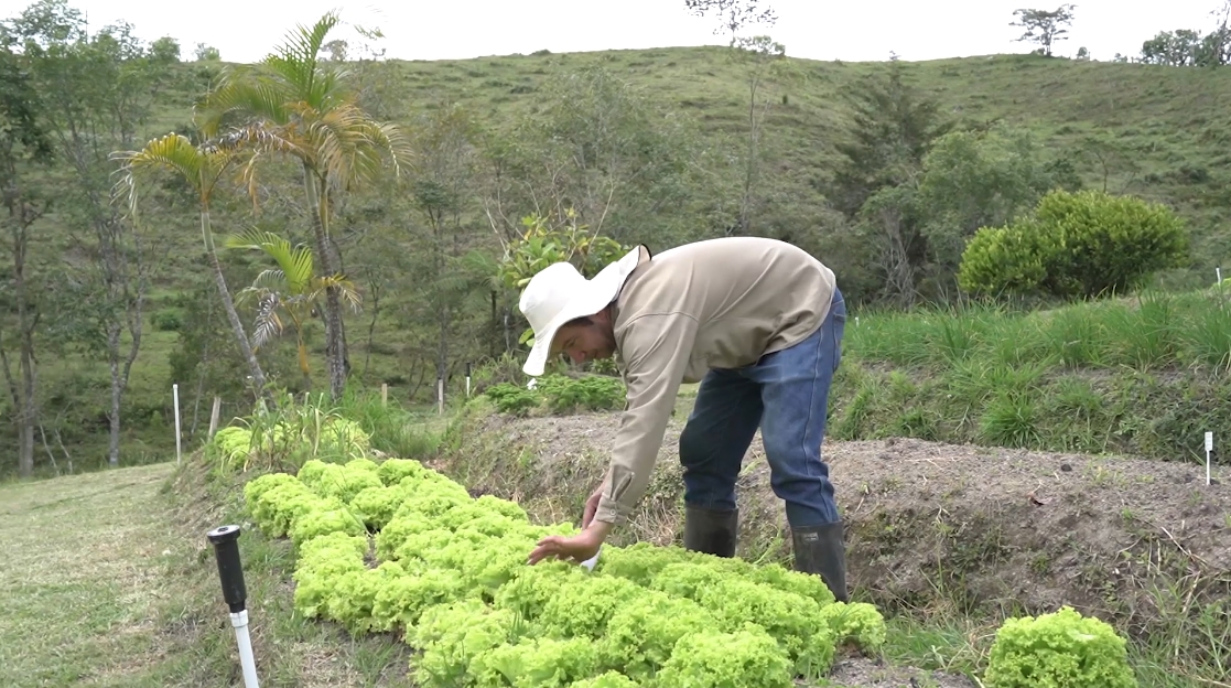 5° Foro Internacional de Agricultura Orgánica, en Medellín