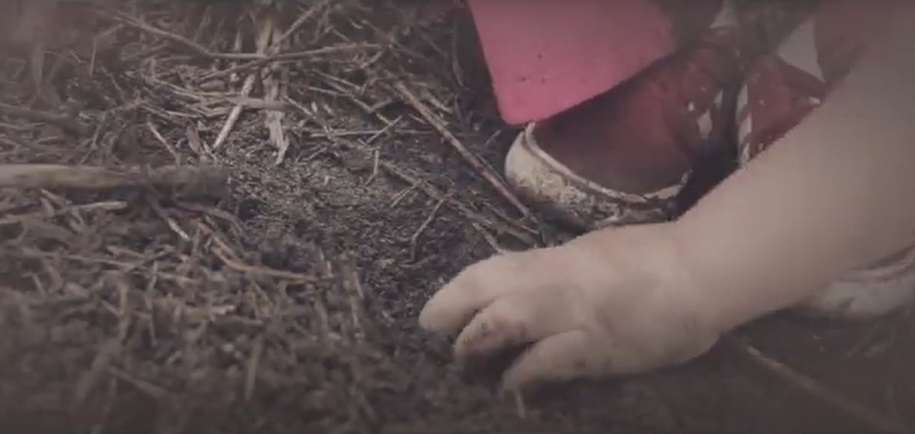 'Calles de Cristal', cortometraje de la comuna 8 de Medellín, ganador de los Premios TAL