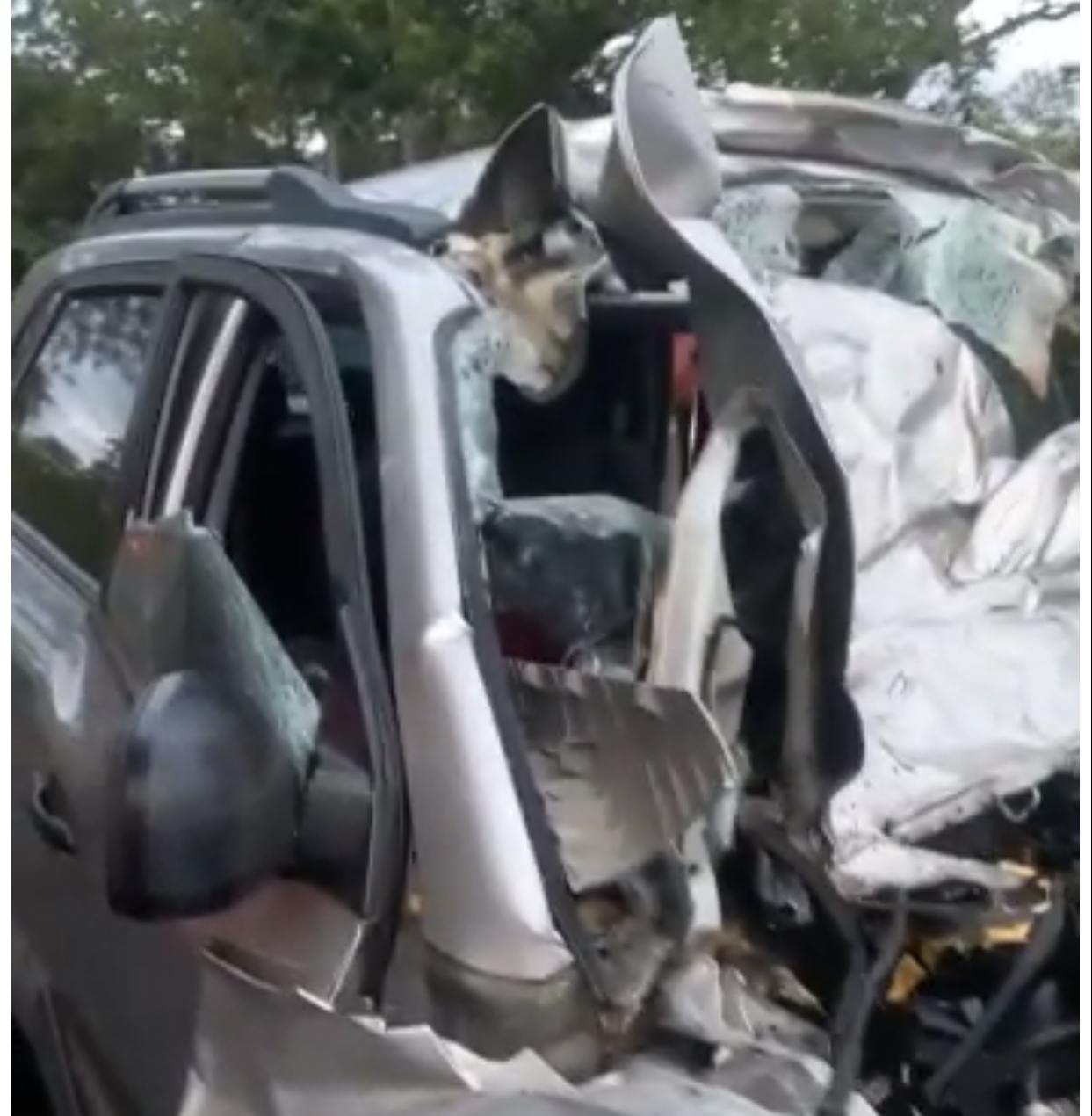 [Vídeo] Cinco muertos y un herido deja grave accidente de tránsito, en Tarazá