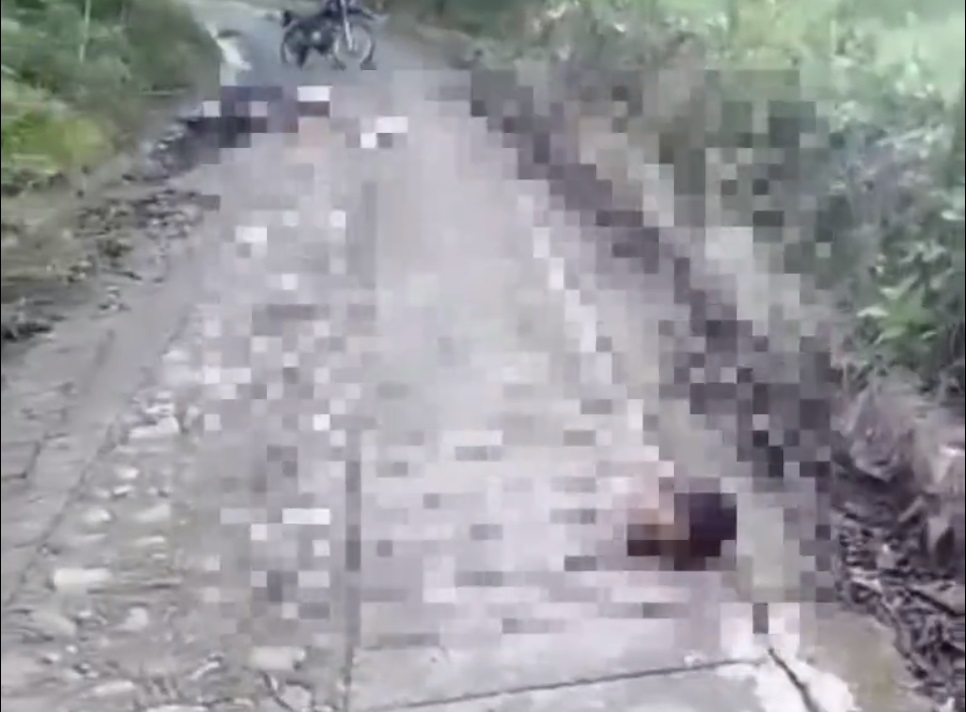 Video: decapitados y desmembrados, así encontraron dos cuerpos en Valdivia