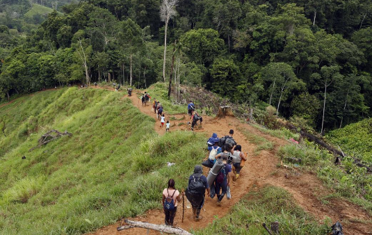 Más de 243.000 migrantes cruzaron la selva del Darién en 2022