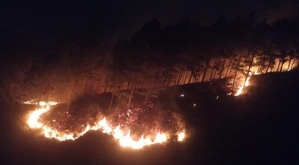 Globo de mecha causó voraz incendio en el Cerro Quitasol de Bello