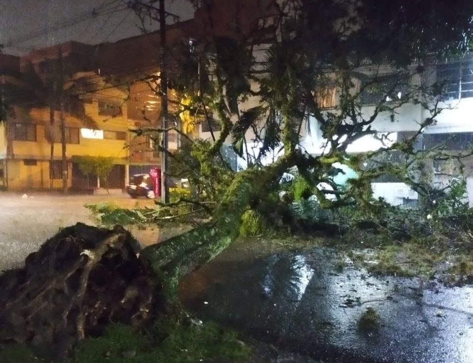 Fuertes lluvias causan estragos en Medellín