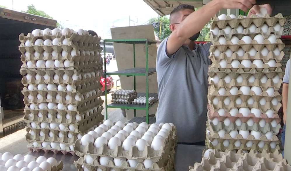 Huevos podrían subir de precio en Antioquia por bloqueos viales