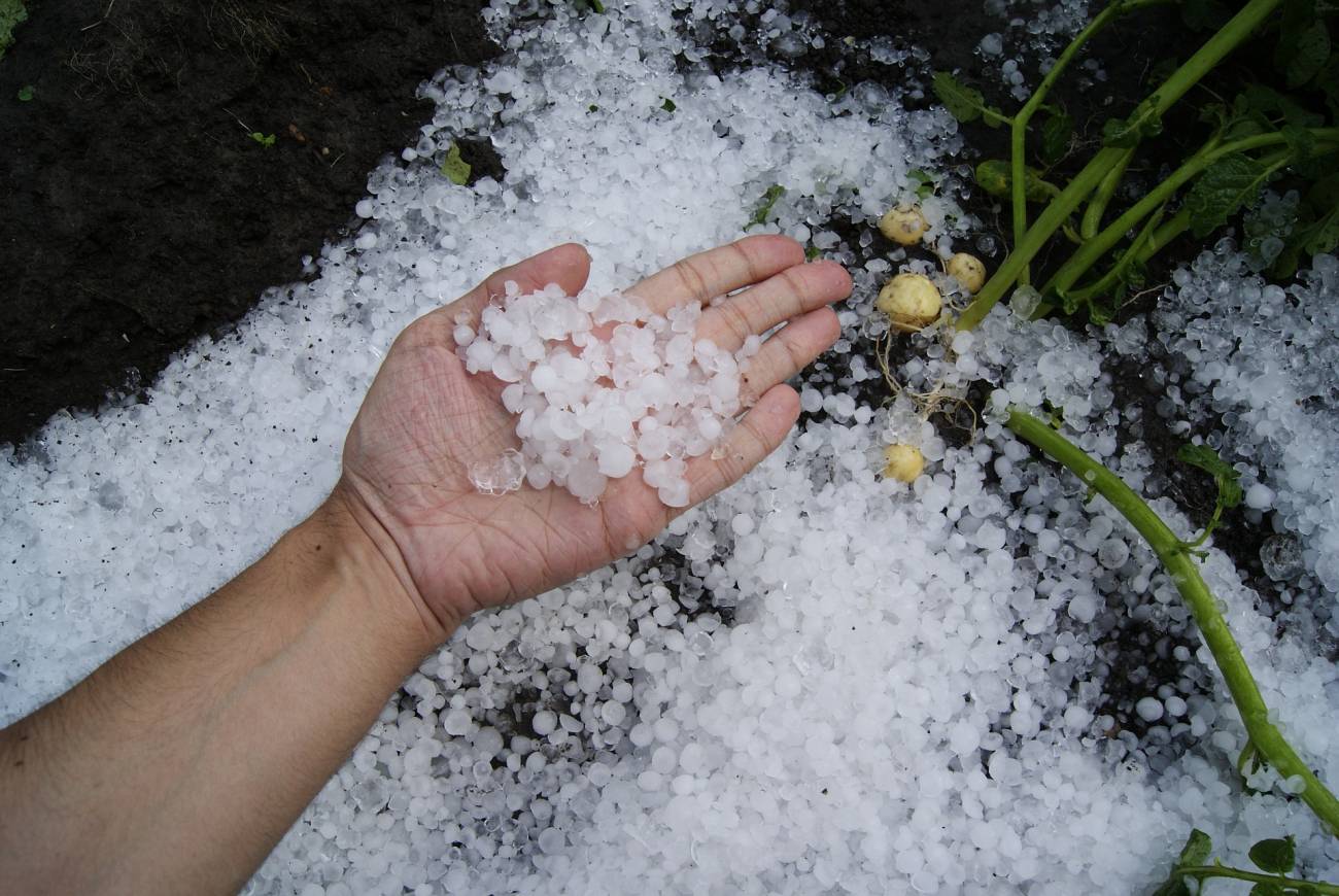 Fuerte granizada vistió de blanco algunos sectores de Envigado