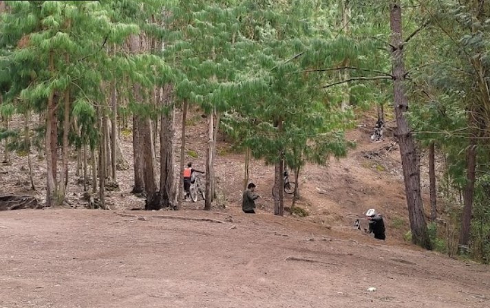Cuatro senderistas estuvieron desaparecidos en bosques de Cajicá