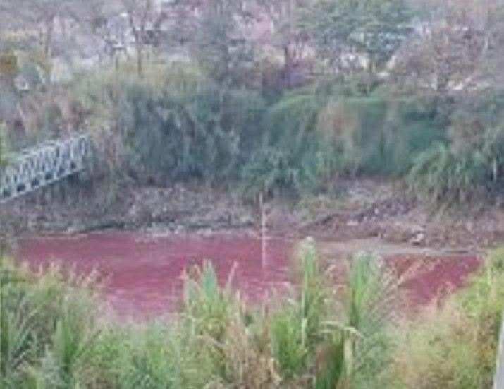 Vertimiento en el río Medellín lo tiñe de rojo