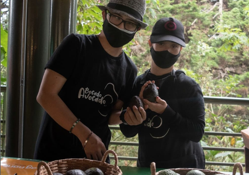 Conozca a Emilio José, un hombre que emprende con aguacates