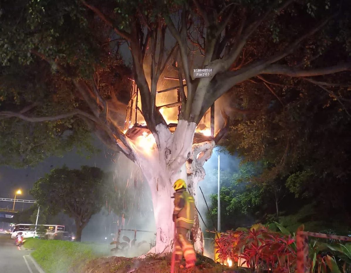 Fotos: Lo que se sabe del incendio de la 'casa del árbol' en La Regional