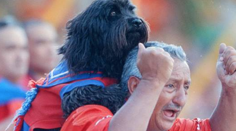 El ausente del clásico paisa será el perrito del Independiente Medellín