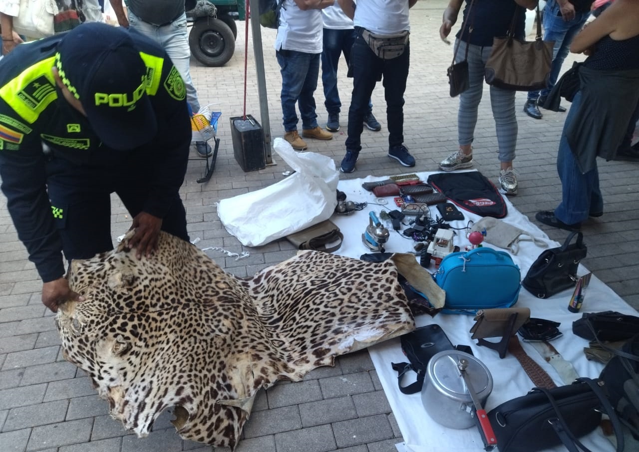 ¡Lo vendían como si nada! En pleno centro de Medellín incautaron la piel de un jaguar