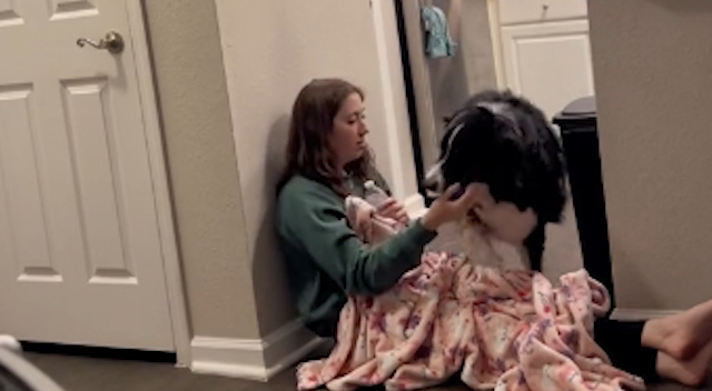 ¡Hermoso este video! Un perrito auxilió a su dueña durante ataque de taquicardia