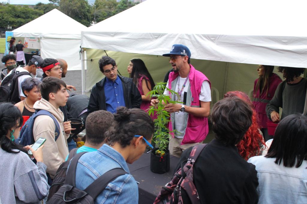 Siembra Paz promueve el autocultivo de marihuana en Medellín