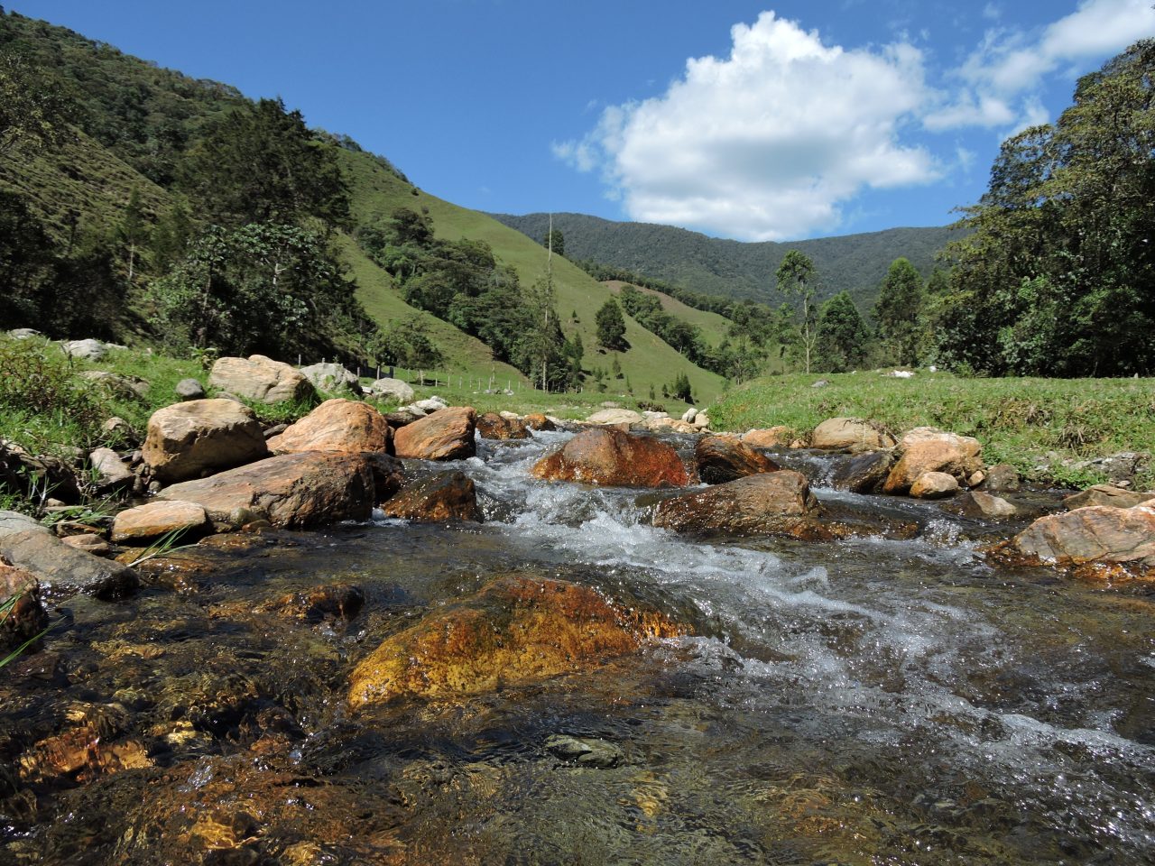 Medellín cuenta con una nueva reserva natural