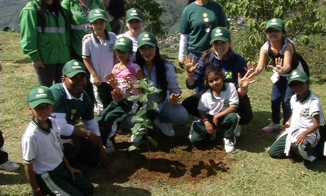 Plantando árboles en Medellín