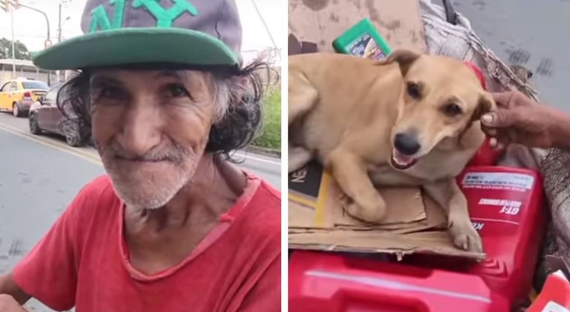 [Video] Le ofrecieron dinero a abuelo reciclador por su perrita y su respuesta conmovió