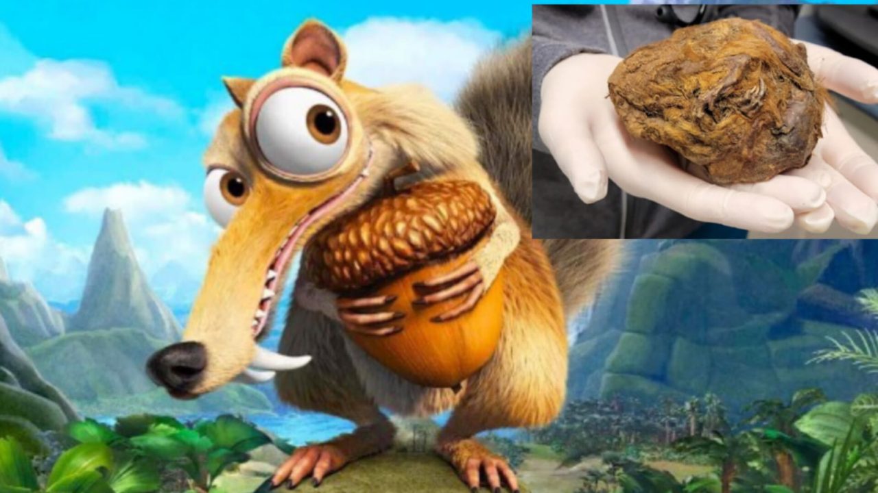 Apareció Scrat, la ardilla de la 