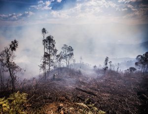 INCENDIOS EN EL DISTRITO