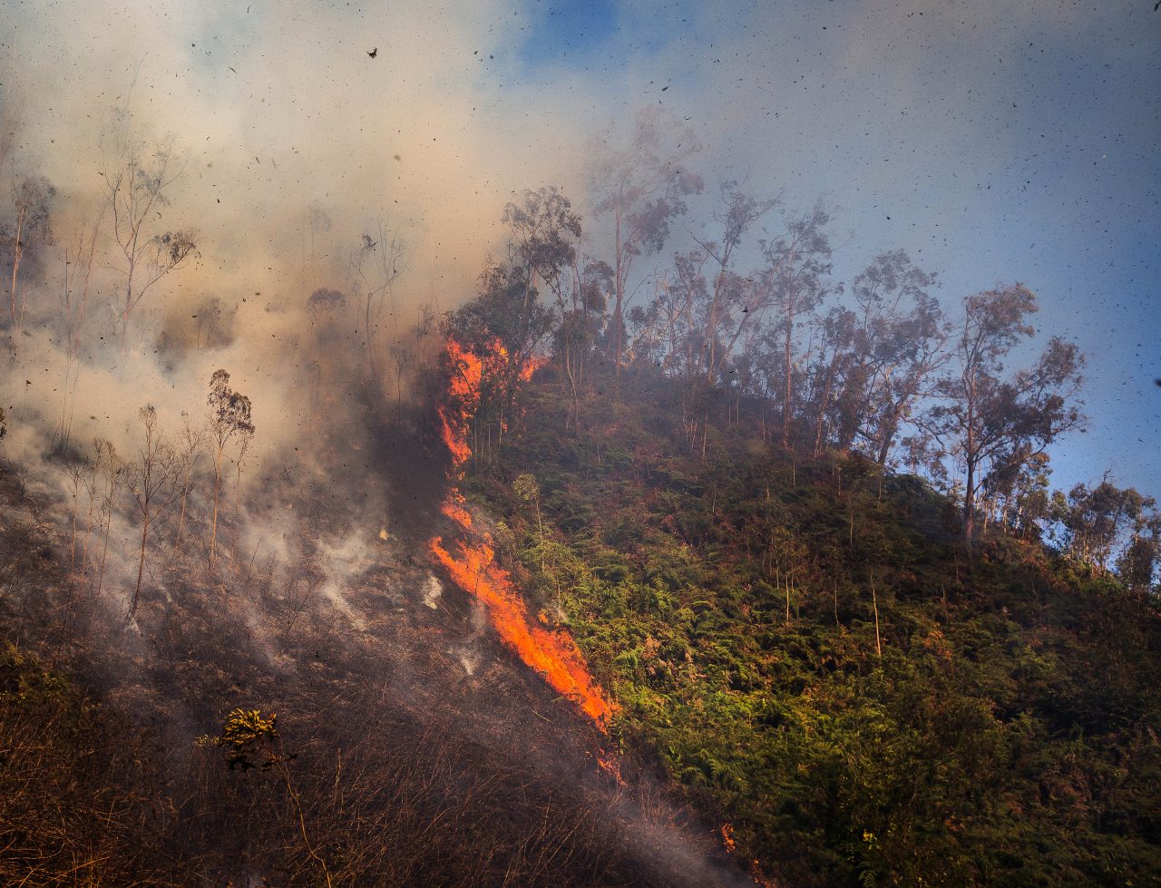 INCENDIOS EN EL DISTRITO