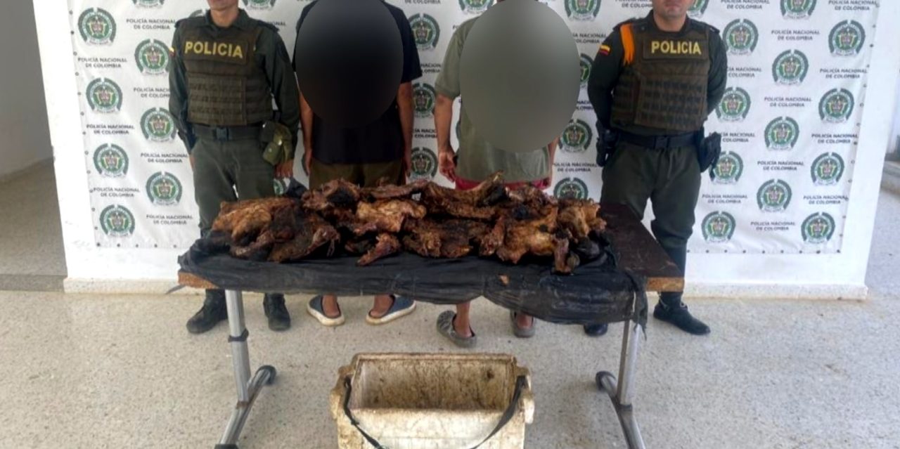 Autoridades incautaron 50 kilos de carne de chigüiro en Antioquia