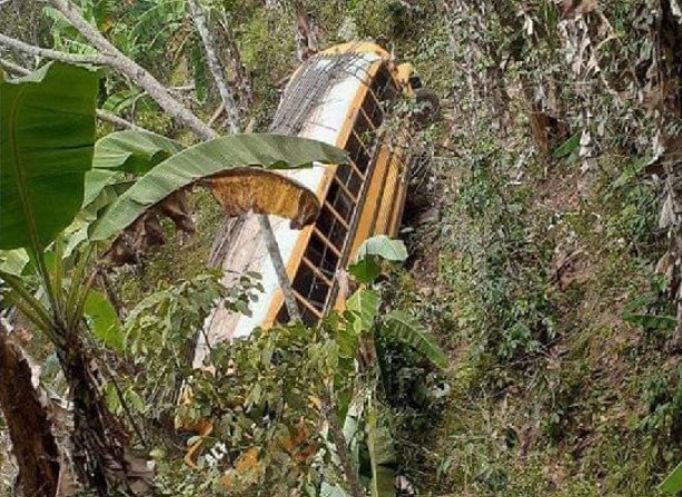 Abejas mataron a personas en un bus