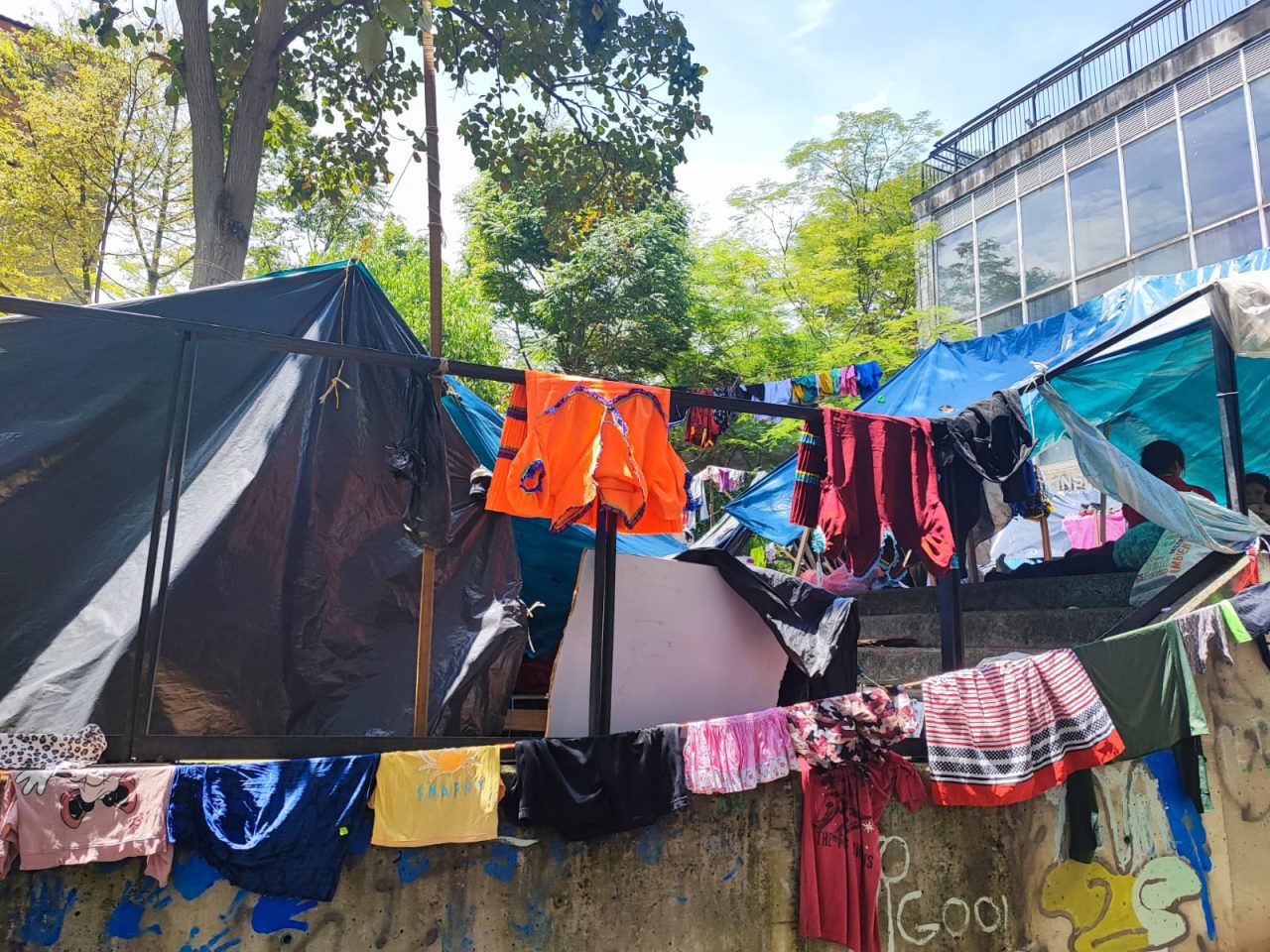 indígenas