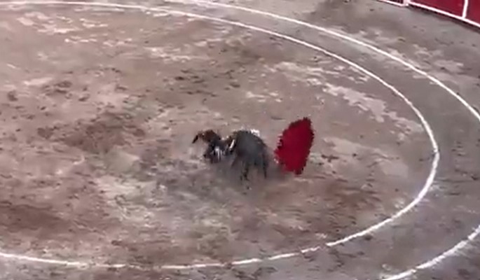 [Video] Famoso torero recibe una cornada que lo envía al hospital