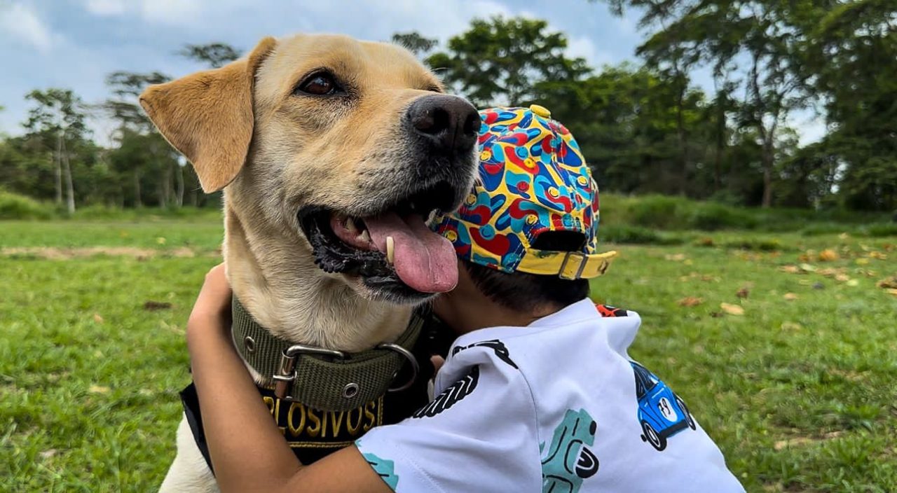 ¡Una heroína! Ada, la perrita con discapacidad visual que ayuda a niños en terapia