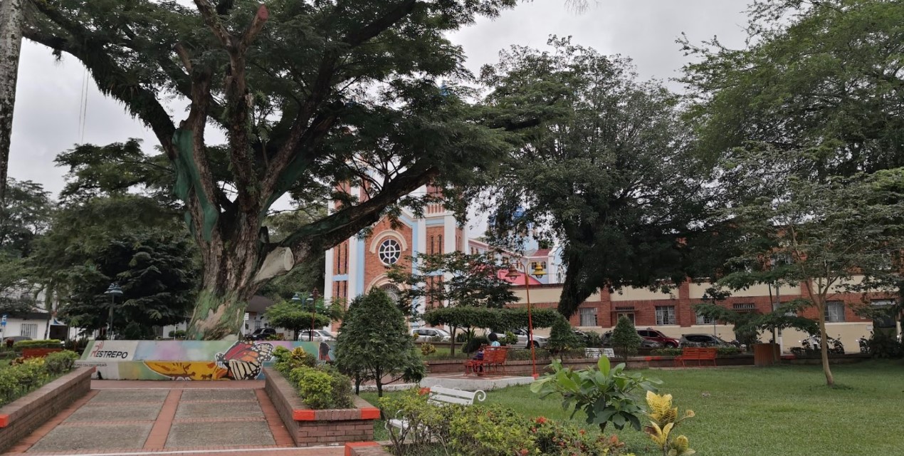 Árbol aplasta a mujer en Restrepo Meta