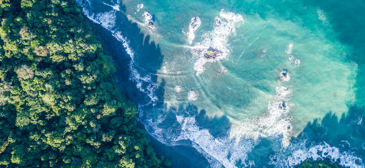 ¡Nueva reserva de la biósfera! El golfo de Tribugá será protegido