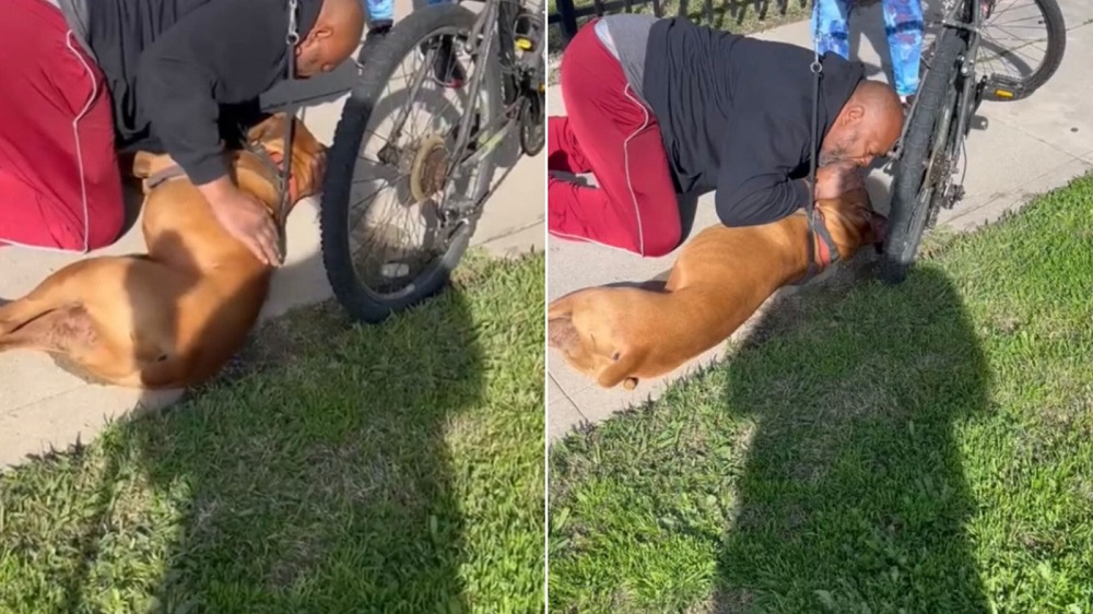 [Video] Un hombre salvó a un perrito desmayado con respiración boca a boca