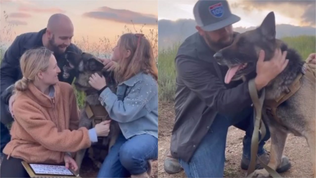 ¡Admirable! Perrito con cáncer iba a ser sacrificado y fue salvado por una familia adoptante 