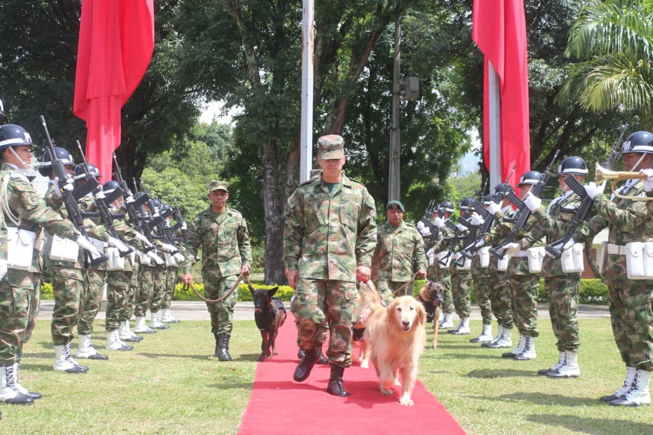 Riana, la canina antiexplosivos que se licenció del Ejército Nacional