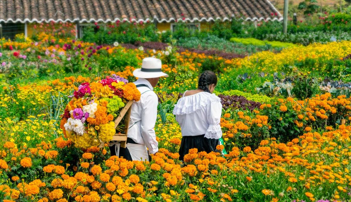 Todo está listo para las Rutas Silleteras de la Feria de las Flores 2023