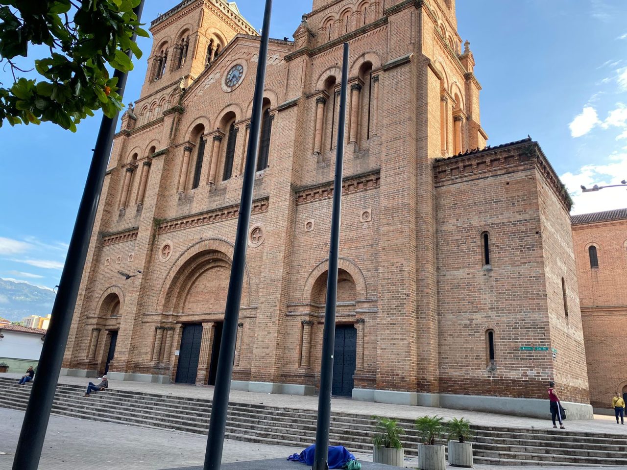 ¡Preocupante! Se están comiendo las paredes de la Catedral Basílica Metropolitana