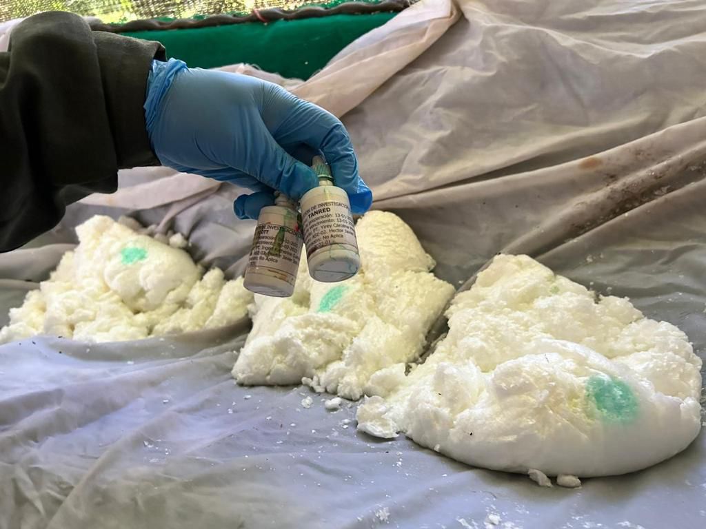 Ejército incautó ocho toneladas de cocaína en Nariño y Norte de Santander