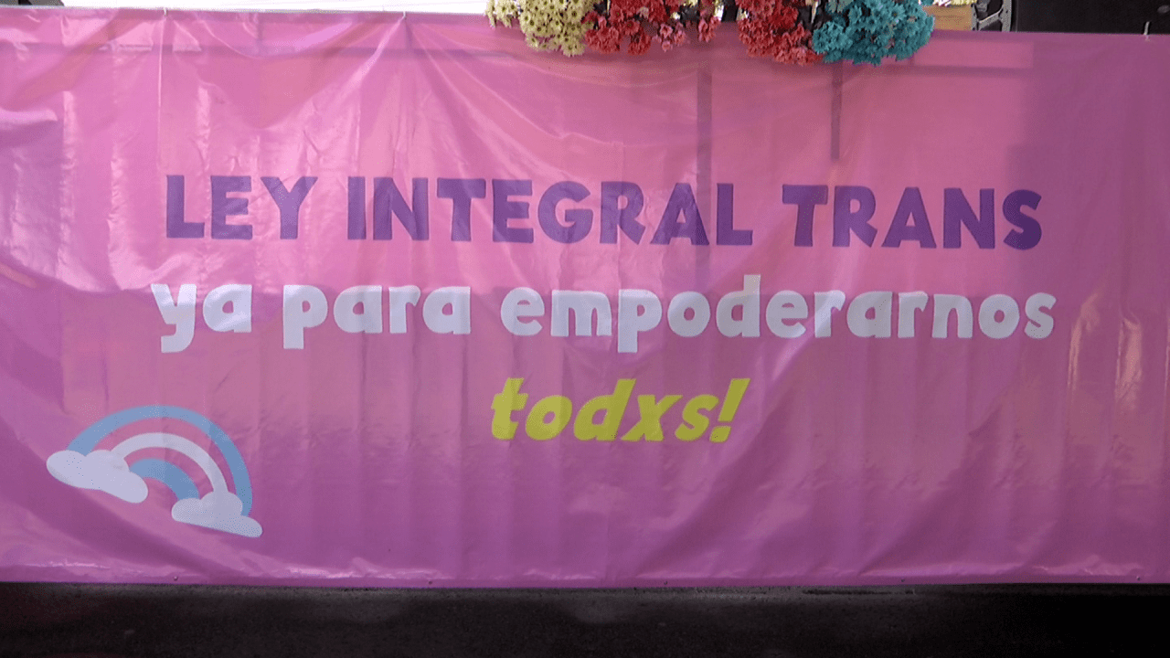 El 20 de julio se radica la Ley Integral Trans en Colombia