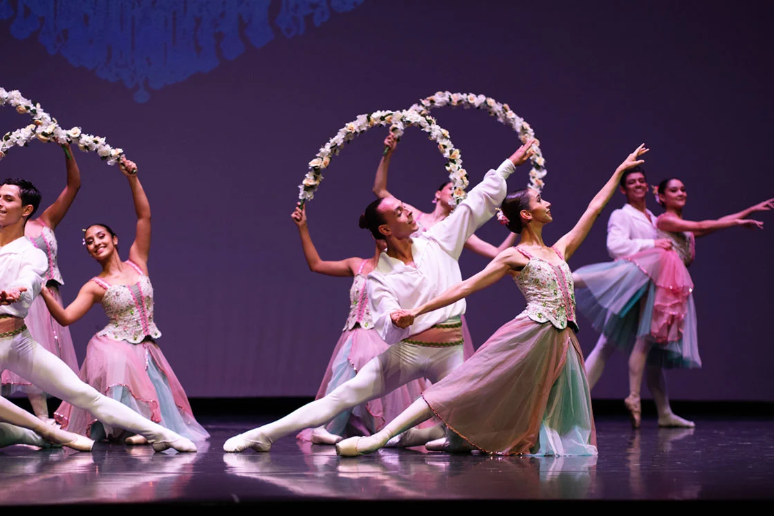 ¡La vida es un ballet! un show para todos los sentidos