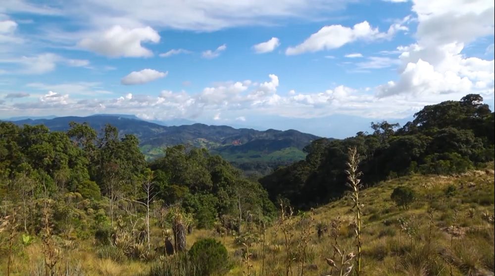 Antioquia tiene 83 áreas protegidas para enfrentar el cambio climático
