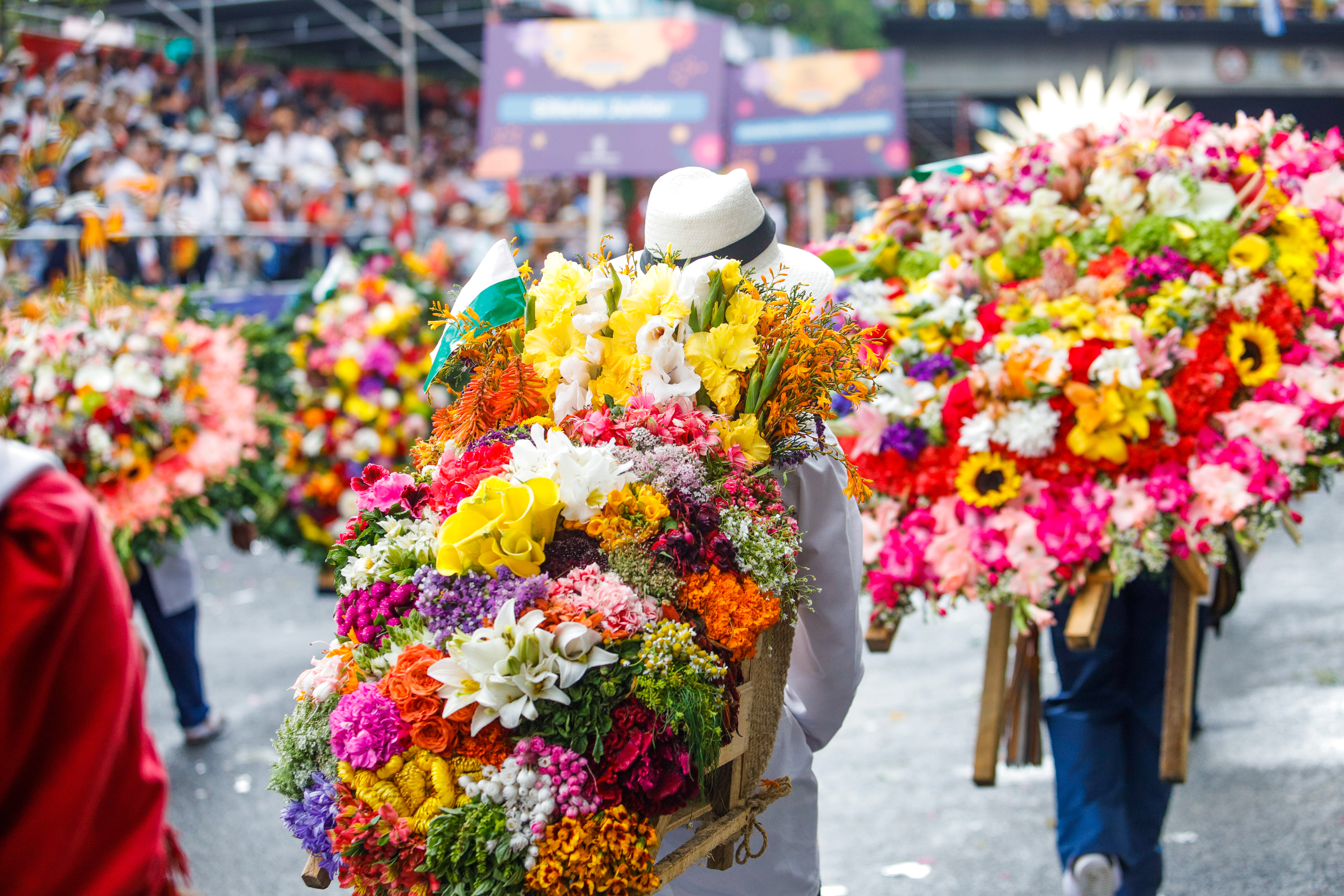 Desfile de Silleteros