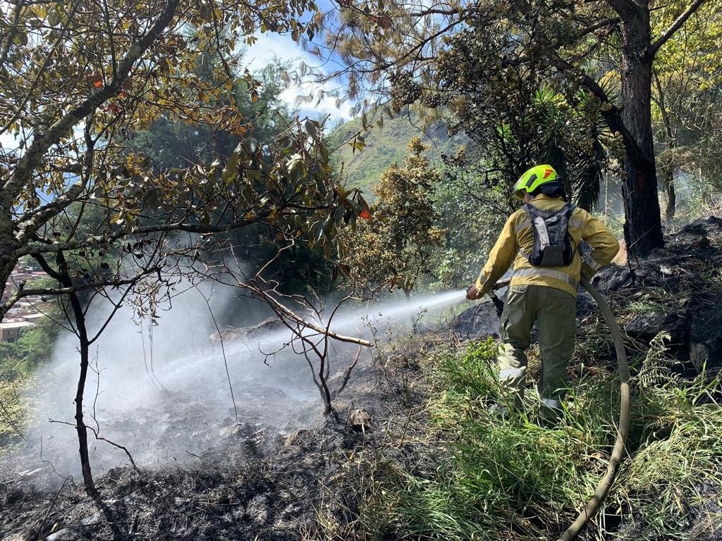 103 incendios forestales se han atendido en Medellín en 2023