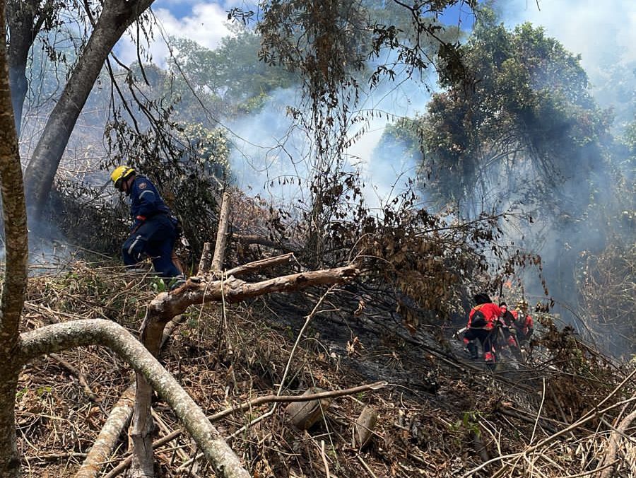 A esta hora intentan apagar 3 incendios forestales en Medellín