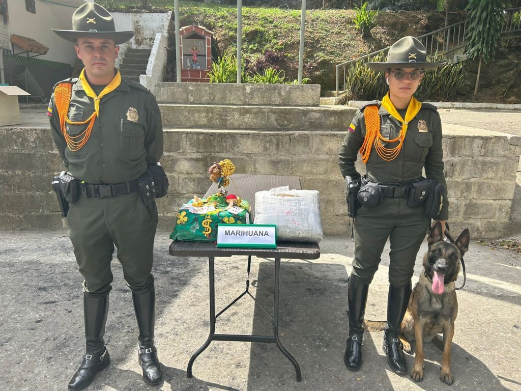 Policía incauta marihuana en pastel