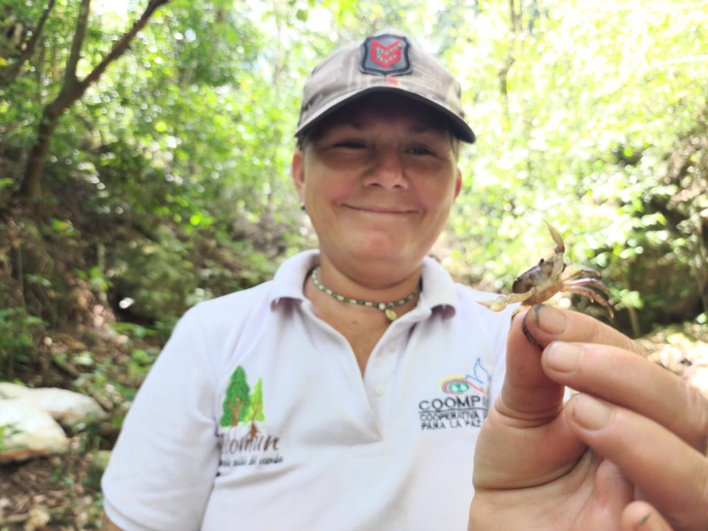 Acuerdo de paz logra descubrir nueva especie