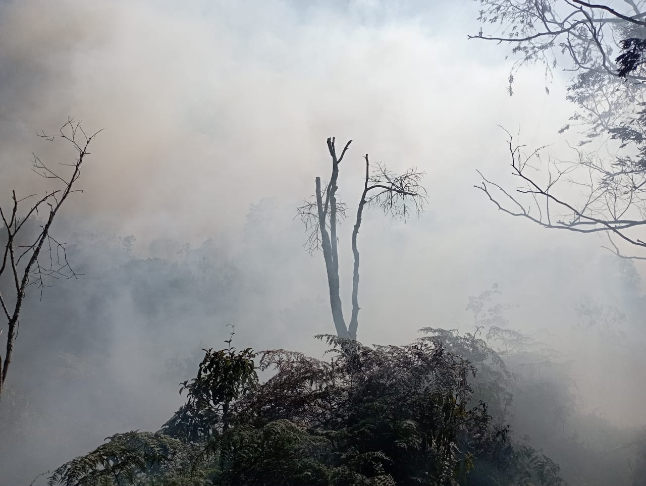 ¡No paran! Reportan siete incendios en varios municipios de Antioquia