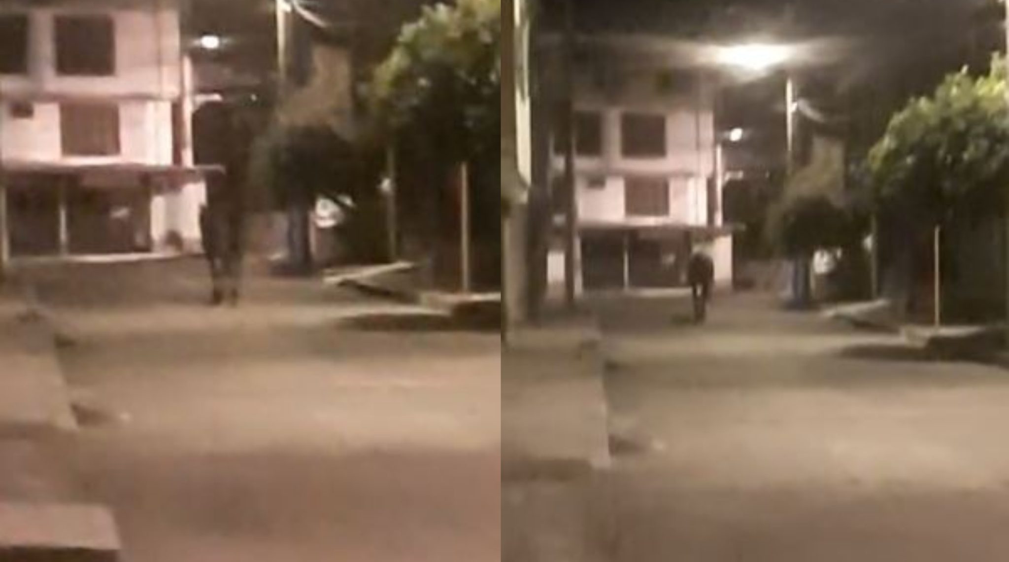 Caballo ‘fantasma’ causa temor en Ibagué