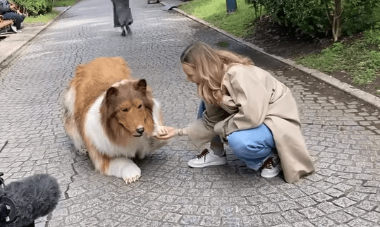 [Video] Este hombre ha gastado más de 10 mil euros para convertirse en perro