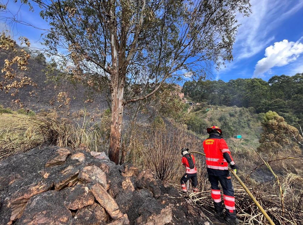 ¡Atención! Autoridades atendieron 4 incendios en simultáneo