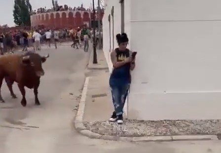 [Video] Toro enviste a mujer desprevenida que veía su celular