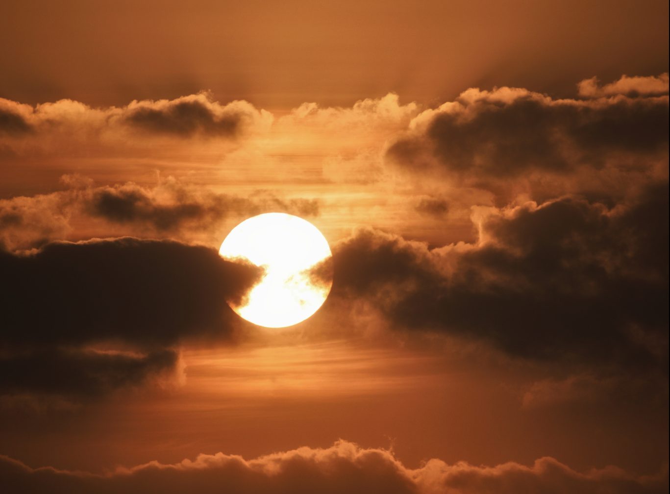 ¡Por cielo, mar y Tierra! Las altas temperaturas alcanzan niveles jamás registradas